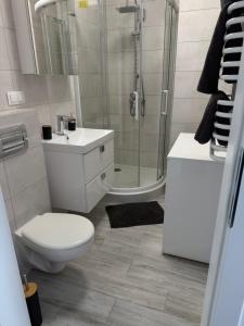 a bathroom with a shower and a toilet and a sink at Apartament Helsinki in Pniewy