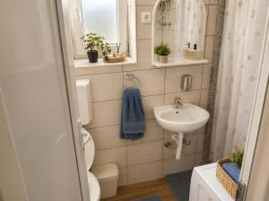 a small bathroom with a toilet and a sink at Petrović Garden in Inđija +15 photos