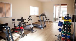 Fitness centrum a/nebo fitness zařízení v ubytování Hotel Palmeiras