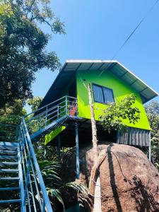 a green house with stairs leading up to it at Hill valley farm resort in Munnar