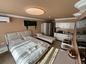 a bedroom with a large bed and a kitchen at Emanuela Home in Piatra Neamţ