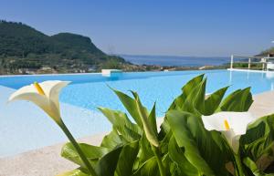 a plant with white flowers next to a pool at Relais Villa Olivi in Costermano