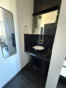 a bathroom with a sink and a mirror at La Loge 45 in Rodez
