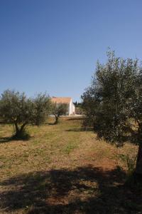 a field with trees and a building in the background at Petrikore - Rosso in Scoglitti