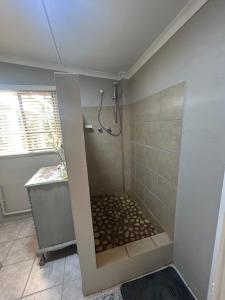 a bathroom with a shower with a stone floor at Mariri Farm Cottage in Patentie +8 photos