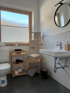 a bathroom with a sink and a toilet and a mirror at a feines Platzl in Asch
