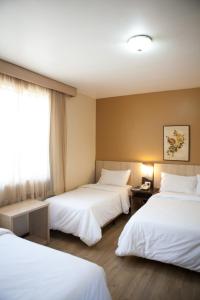 Postel nebo postele na pokoji v ubytování Hotel Palmeiras
