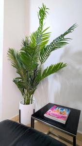 a green plant in a white vase on a table at Vine Vale in Kampala +18 photos