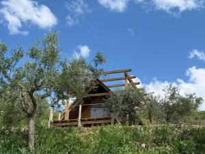 a house in the middle of a field with trees at Glamping Uma Casanatura in Cellino Attanasio