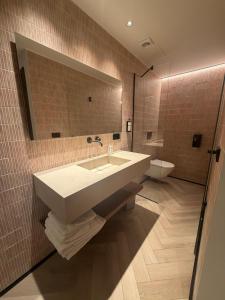 a bathroom with a sink and a toilet at Bearan Rooms 2 in Pamplona