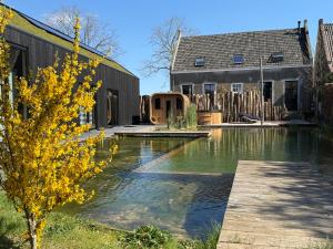 a pool of water in front of a house at B&B Louwi in Breugel