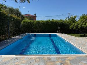 a small swimming pool with blue water in a yard at The Bs Stay in Tirana