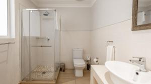 a bathroom with a shower and a toilet and a sink at Stonehouse on Main in Struisbaai +52 photos