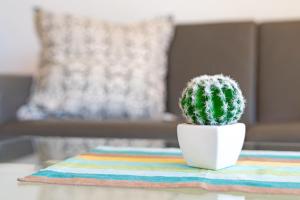 a cactus in a white pot sitting on a table at Strandlächeln in Neue Tiefe Fehmarn