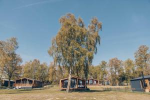 a large tree in front of a group of lodges at Resort Wilsumer Berge in Wilsum +17 photos