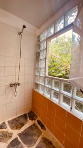 a bathroom with a shower and a window at Casa no Campo in Porto Covo