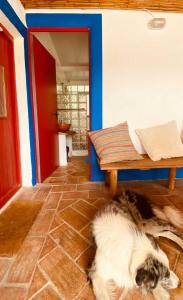 a dog laying on the floor in a room at Casa no Campo in Porto Covo