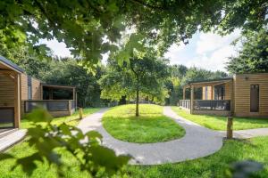 a house with a tree in the middle of a yard at Urban gardens - Lodge 2p in Ieper