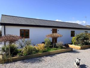 a white building with a cat standing in front of it at Peacock Barn in Walsoken