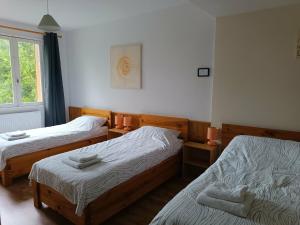 ein Schlafzimmer mit zwei Betten und einem Fenster in der Unterkunft Hotel du Centre in Châlus