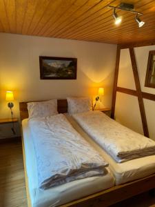 a bedroom with two twin beds in a room at Hotel Altels in Kandergrund