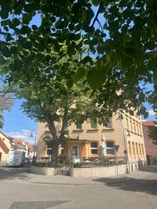 a building with a tree in front of a street at Pension am Park in Oschatz
