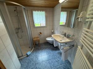 a bathroom with a shower and a sink and a toilet at Hotel Altels in Kandergrund +18 photos