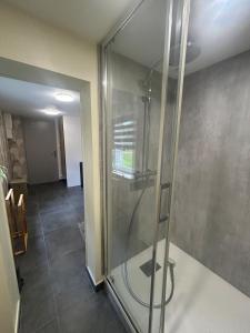 a shower with a glass door in a room at Gîte à l'étable in Terdeghem