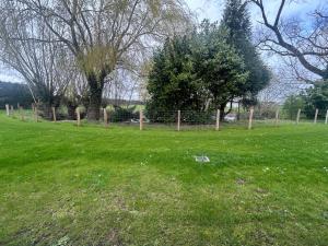 a field of green grass with a fence and trees at Gîte à l'étable in Terdeghem