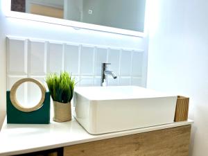 a bathroom with a white sink and a mirror at Appartement spacieux La Vanille 2 in Ducos +8 photos