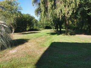 a field of grass with trees in the background at Le MABILEAU in Saumur +2 photos
