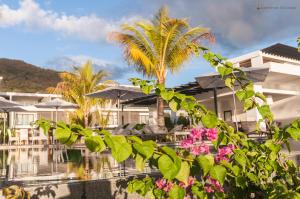 a resort with a pool and palm trees and pink flowers at Latitude - with private plunge pool in Rivière Noire