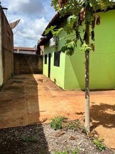 a small tree in front of a green building at Casa ampla central in Dourados