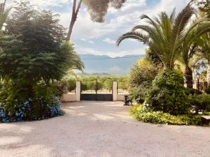 a park with a bench and flowers and palm trees at El Limonar in Murcia