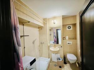 a bathroom with a toilet and a sink and a shower at Spacious Apartment in City Centre in Iaşi