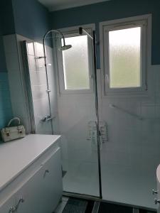 a bathroom with a shower and a white sink at Chez Christine in Sarrancolin +9 photos