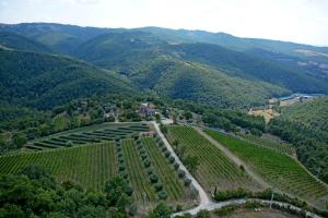 an aerial view of a vineyard in the mountains at Agriturismo Preggio in Umbertide
