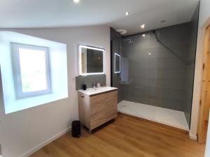 a bathroom with a shower and a sink and a window at Gîte Calme - Vue sur Garonne - Parking privé in Baurech +2 photos
