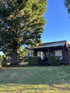 a small house with a tree and a bench at Cabañas El Viejo Sauce in Tandil