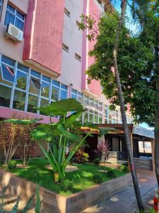 ein rosa Gebäude mit einer Palme davor in der Unterkunft Executive Plaza Hotel in Núcleo Bandeirante