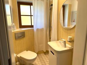 a bathroom with a toilet and a sink and a mirror at Fuchsbau-eine Auszeit für die Seele in Kritzmow