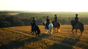 a group of people riding horses in a field at Metsapiiga Talu in Vilina