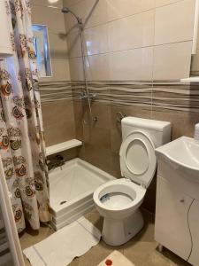 a bathroom with a toilet and a shower and a sink at Teodora in Banja Koviljača
