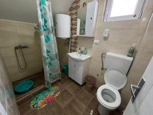 a small bathroom with a toilet and a shower at Vila Mir Banja Vrujci in Gunjica +44 photos