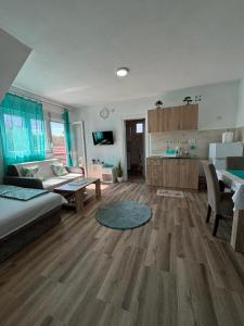 a large living room with a couch and a kitchen at Vila Mir Banja Vrujci in Gunjica