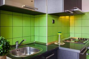 Kuchyň nebo kuchyňský kout v ubytování APARTMENT "Patricia"