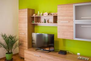 TV a/nebo společenská místnost v ubytování APARTMENT "Patricia"