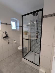 a bathroom with a glass shower with a toilet at Ferienwohnung Lachen in Lachen +29 photos