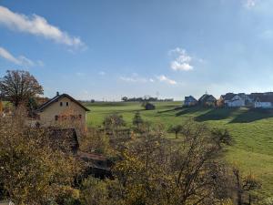 a green field with a house in the middle at Ferienwohnung Lachen in Lachen