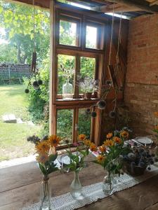 a window with vases of flowers in a room at Ferienhaus-Weinmeyer in Paasdorf +18 photos
